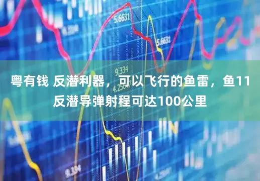粤有钱 反潜利器，可以飞行的鱼雷，鱼11反潜导弹射程可达100公里